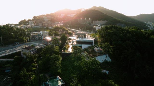 Sunrise Over Urban Landscape with Lush Greenery