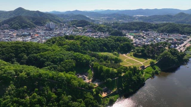 Lush green forest with a city in the background