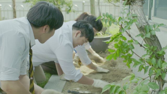 Students taking care of flowerbeds on a sunny day