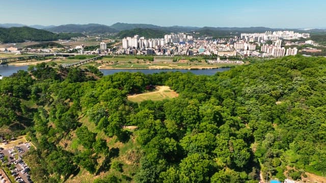 Lush green forest with a city in the background
