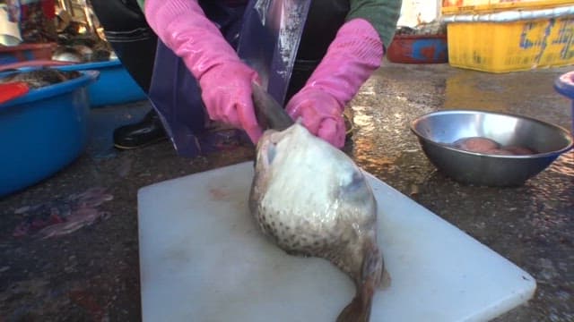 Cleaning fish at an outdoor market
