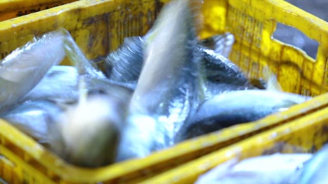 Fresh fish fluttering in a yellow crate