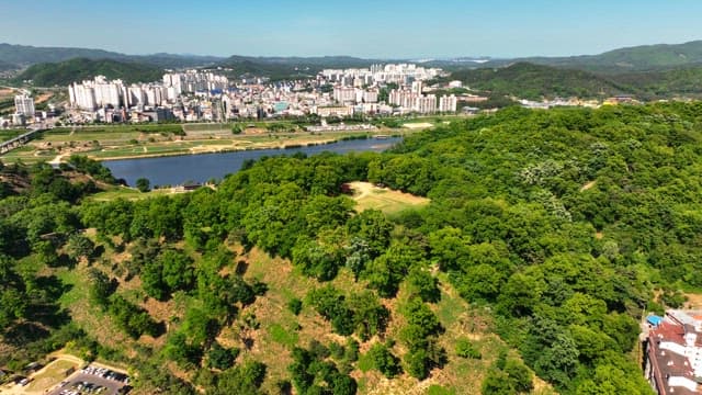 Lush green forest with a city in the background