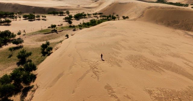 Person walking on a vast desert landscape