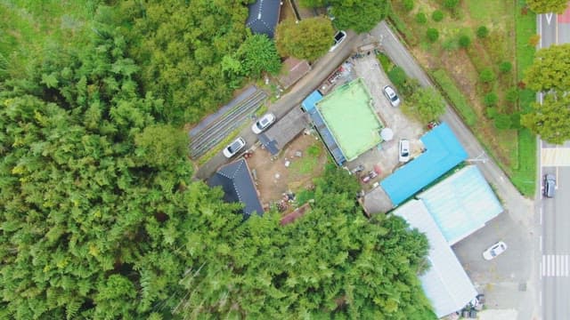 Rural village surrounded by lush forest
