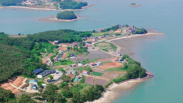 Coastal village with fields and forests