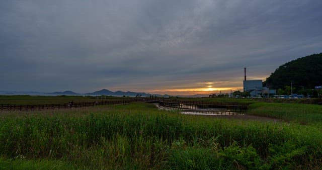 Evening view of an ecological park with wetlands and trails