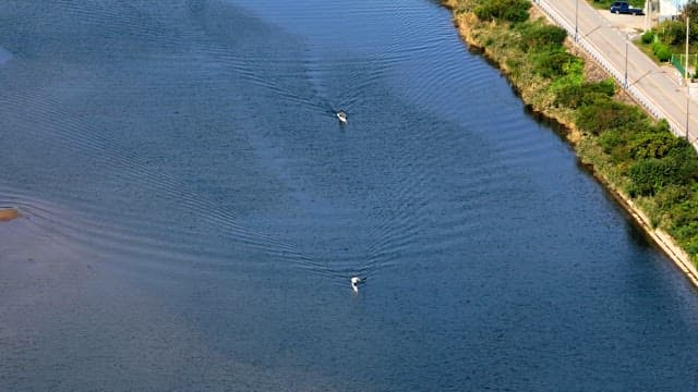 Kayakers paddling on a calm river