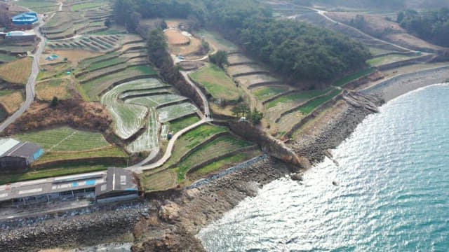 Terraced fields by the seaside of peaceful South Sea