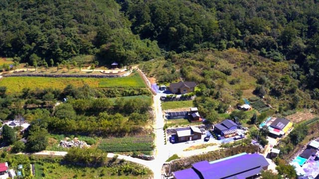 Agrarian village with lush greenery