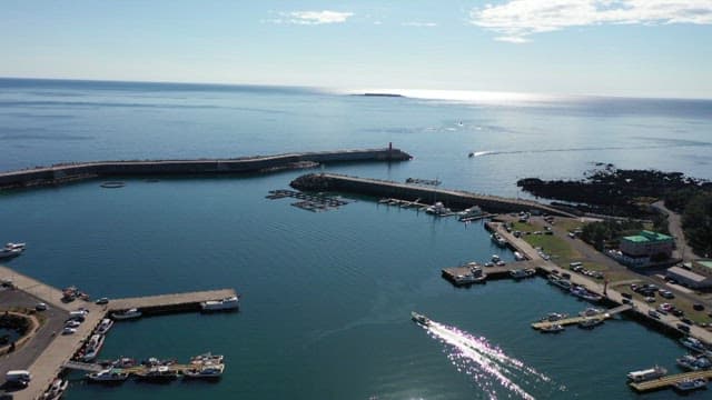 Harbor with boats docked and the calm blue sea stretching to the horizon