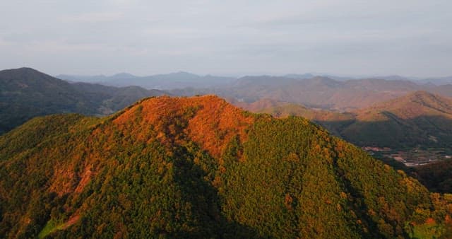 Autumn Foliage on Rolling Mountain Hills