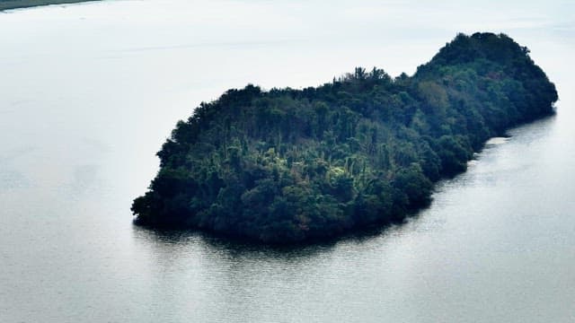 Lush green island surrounded by water
