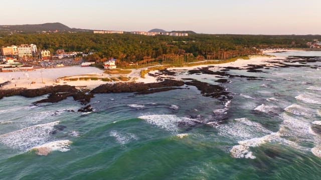 Scenic beach with waves and greenery