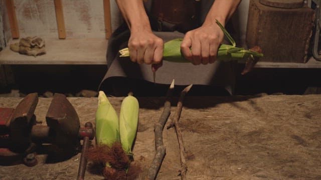 Person peeling corn in a rustic setting