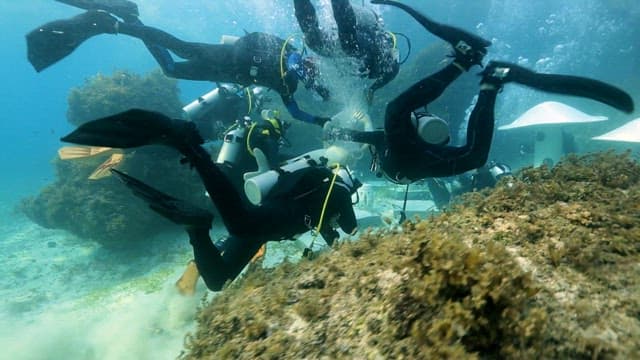 Divers installing a statue underwater in clear ocean