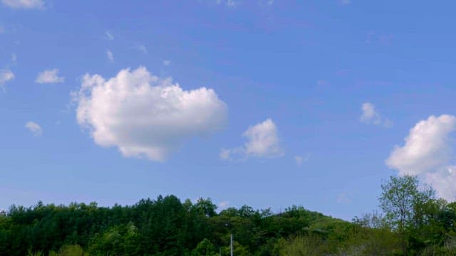 Clear sky with fluffy clouds over a forest