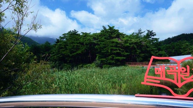 Scenic view of lush trees and pond with clear sky in the daytime