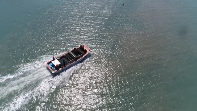 Boat navigating through a farm