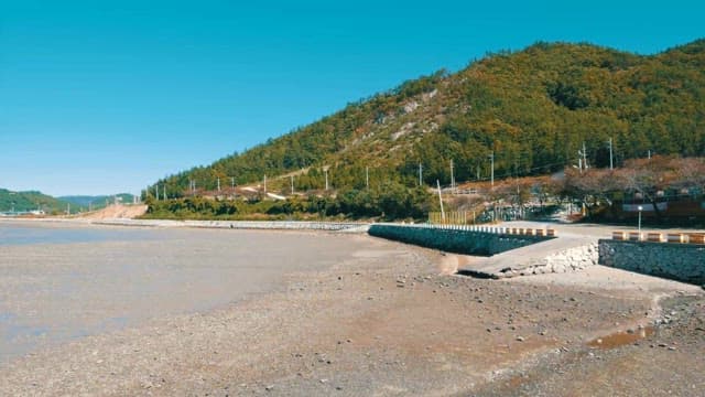 Low Tide Coastal Landscape with Lush Hills