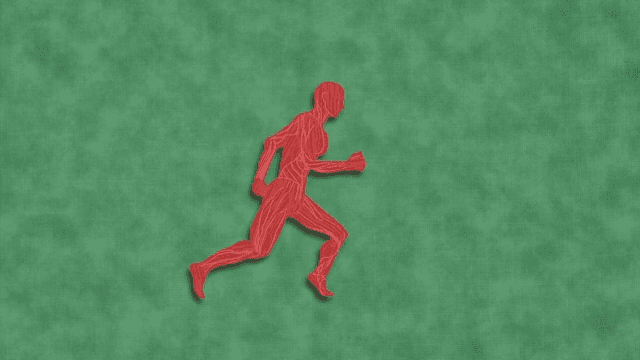 Animation Showing the Muscle Structure of a Running Person