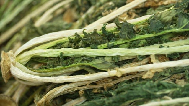 Wrinkled surface of well-dried radish greens