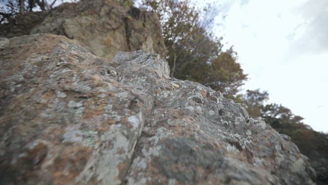 Rocky cliff with trees and chairs