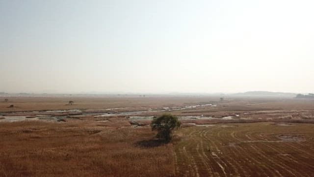 An expansive view of a serene marshland in early morning.