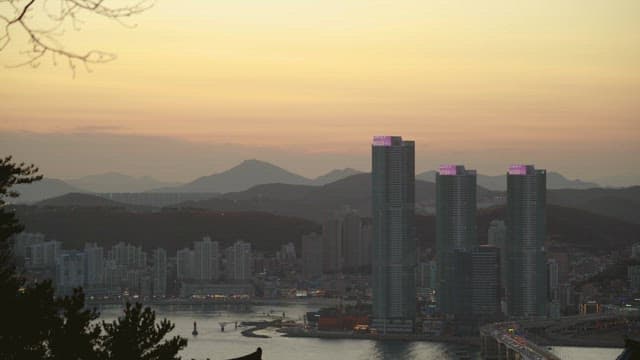 Evening view of a coastal city with many tall buildings
