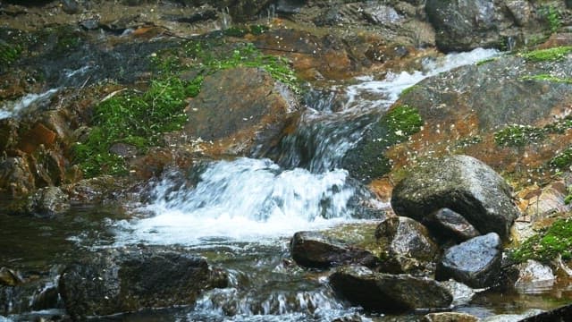 Water stream flowing over moss-covered rocks in a forest.