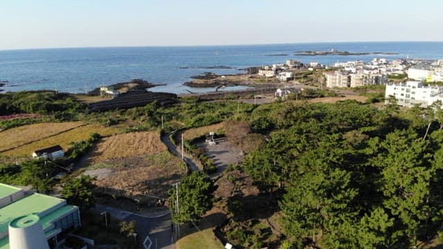 Coastal town with lush greenery by the sea