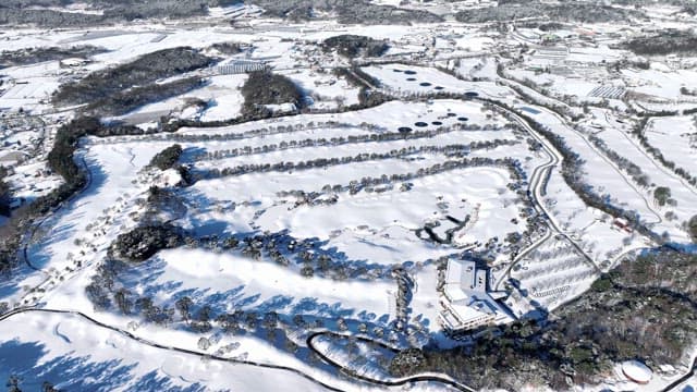 Winter Landscape with Snow-Covered Trees