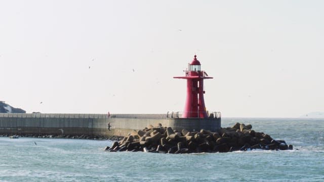 Red lighthouse with flocks of seagulls flying around