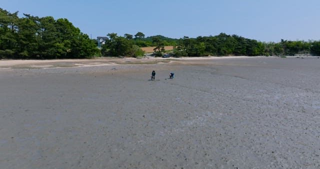 Coastal Walk at Low Tide Revealing Sandy Flats