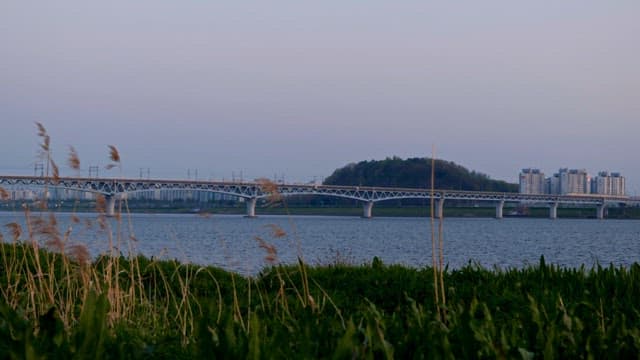 Riverside with green space where the subway passes