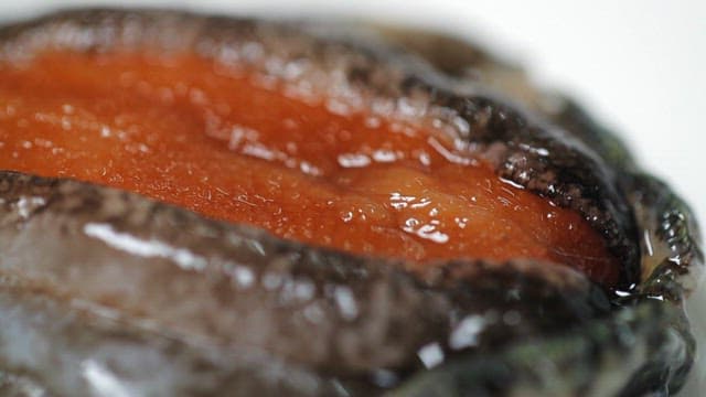 Close-up of a fresh abalone on a white plate
