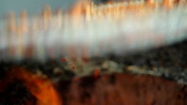 Sizzling small octopuses on a grill