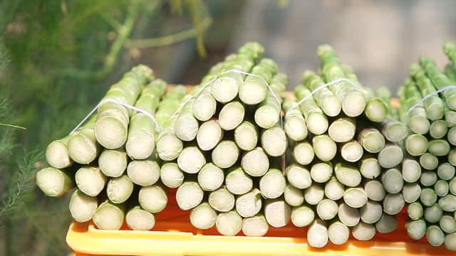 Fresh Asparagus Bunches on a Table