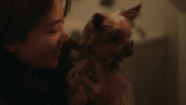 Woman cuddling her dog in a dark room