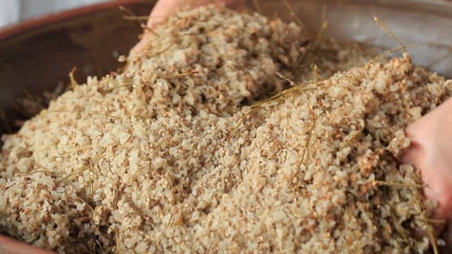 Malted non-glutinous rice prepared for making traditional Korean alcohol