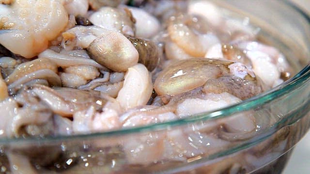 Fresh webfoot octopus in a glass bowl