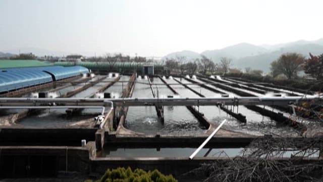 Fish Farm with Mountain View