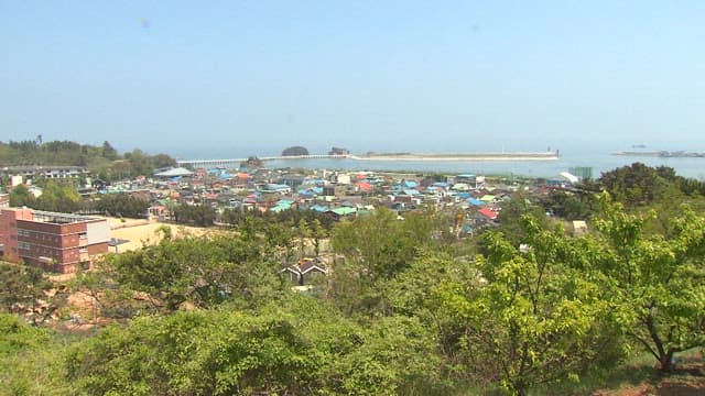 Coastal Village with Greenery and Buildings