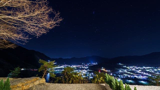 Cityscape at Night from a Viewpoint