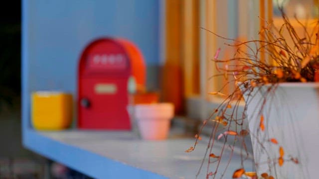 Window with plants and a mailbox