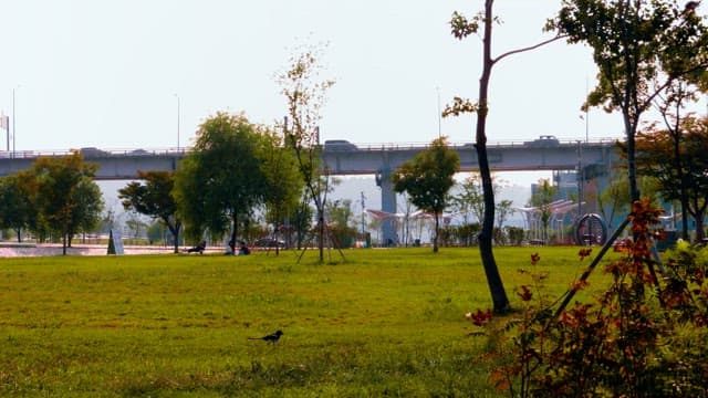 Banpo Hangang Park with a view of the bridge over which cars pass