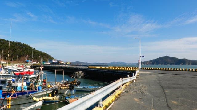 Coastal harbor with boats, road, and distant mountains