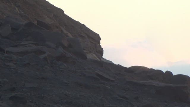 Animal Falling Off a Cliff