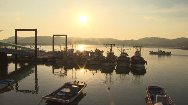 Fishing Boats Docked at Sunrise