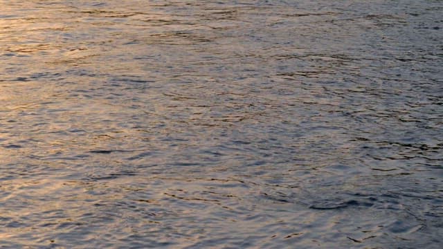 River surface reflecting sunlight